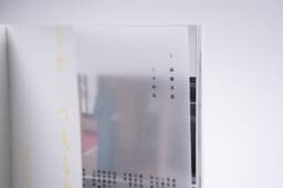 Album Packaging For A Hong Kong Singer-songwriter  - thumbnail 7