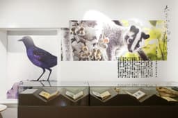 Exhibition Identity For An Environmental Education Centre  - thumbnail 7