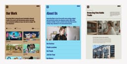 Brand And Website Repositioning For Brown Bag Films - thumbnail 6