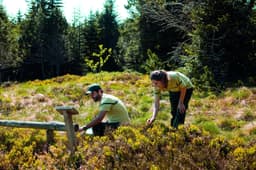 Communications Design For Office National Des Forêts - thumbnail 2