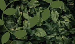 Visual Identity For Conservatoires Botaniques Nationaux - thumbnail 2