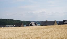 Editorial Identity For Observatoire De L’environnement En Bretagne - thumbnail 2