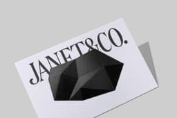Brand Identity and Website Design for Janet & Co - thumbnail 2