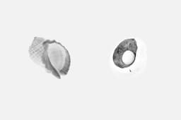 Brand Identity and Naming for Treat Dental - thumbnail 8