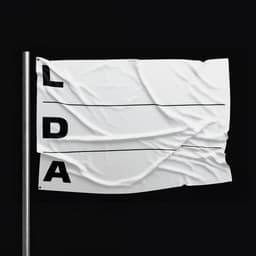 Adaptive Identity For Lithuanian Design Association - thumbnail 2