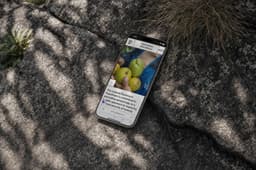 Brand Identity for Leopold Bachmann Stiftung - thumbnail 5