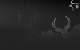Untitled Case - thumbnail 3