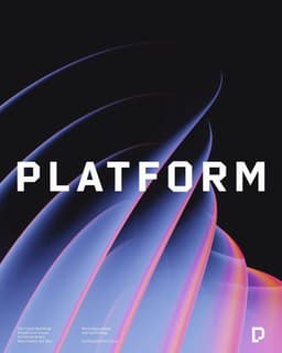 Visual Identity for Platform Digital Agency - thumbnail 2