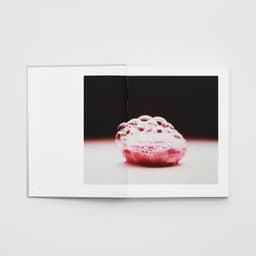 A platform for photography for a foundation supporting global artists - thumbnail 6