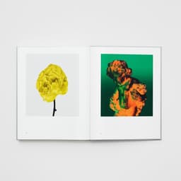 A platform for photography for a foundation supporting global artists - thumbnail 9