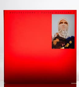 Visual Identity for Pavlos Pavlidis’ Brancaleone Album - thumbnail 6