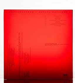 Visual Identity for Pavlos Pavlidis’ Brancaleone Album - thumbnail 7