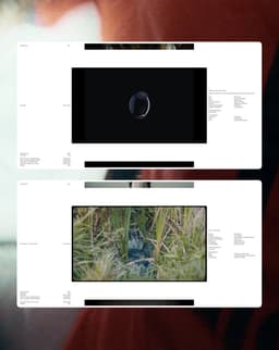 Visual Identity and Website for Film Director Rudá Santos - thumbnail 8