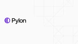 Brand Identity and Website for Pylon - thumbnail 2