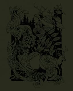Brand And Packaging Design For Waldteufel - thumbnail 6