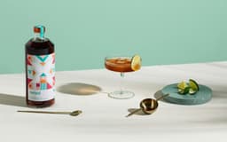Branding And Packaging For Versol Vermouth - thumbnail 6