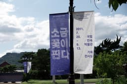 Exhibition Graphics for Flower of Salt - thumbnail 4