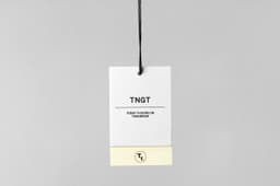 Brand Identity for TNGT - thumbnail 7