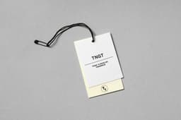 Brand Identity for TNGT - thumbnail 8