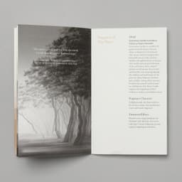 Environmental Design for Sulwhasoo’s Seoul Flagship Store - thumbnail 5