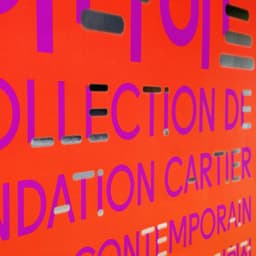 Art Direction for Fondation Cartier’s Contemporary Art Collection - thumbnail 6