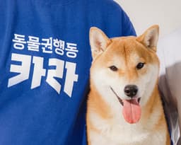 Brand Identity for Korea Animal Rights Advocates - thumbnail 2