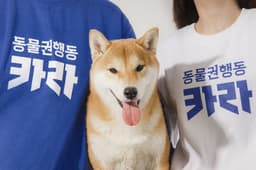 Brand Identity for Korea Animal Rights Advocates - thumbnail 3