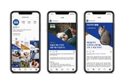 Brand Identity for Korea Animal Rights Advocates - thumbnail 7