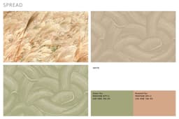 Packaging Design for Osulloc Teafood & Bakery - thumbnail 7