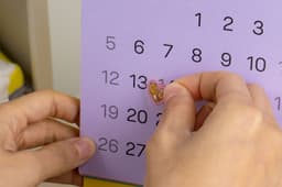 Calendar Kit for Kakao Pay Insurance - thumbnail 7