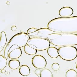 Visual Identity for Luxury Skincare Brand - thumbnail 7