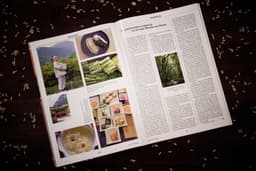 Editorial Design for Lebensgenuss Supplement - thumbnail 9