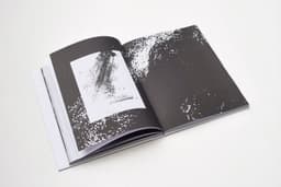 Monographic Catalogue for Anina Brisolla - thumbnail 7