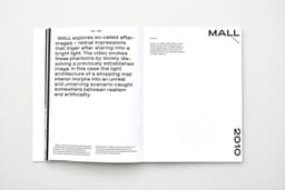 Monographic Catalogue for Anina Brisolla - thumbnail 8