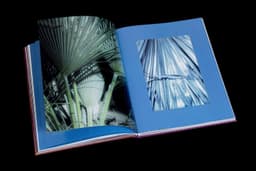 Book Design for Hidden Hills - thumbnail 3