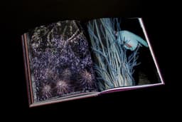 Book Design for Hidden Hills - thumbnail 4