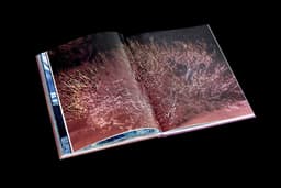 Book Design for Hidden Hills - thumbnail 6