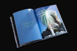 Book Design for Hidden Hills - thumbnail 7
