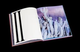 Book Design for Hidden Hills - thumbnail 9