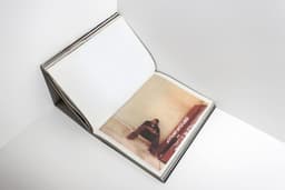 Editorial Design for Werner Amann’s American - thumbnail 6