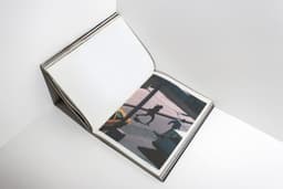 Editorial Design for Werner Amann’s American - thumbnail 8