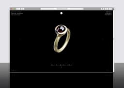 Visual Identity and Website for René Talmon L'Armée - thumbnail 6