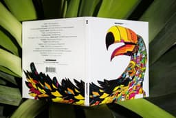 Art Direction for Watergate Records - thumbnail 4