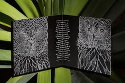 Art Direction for Watergate Records - thumbnail 7