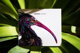 Art Direction for Watergate Records - thumbnail 8