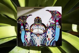 Art Direction for Watergate Records - thumbnail 9