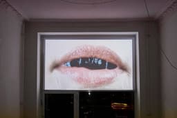 Visual Identity for Blake & Vargas Gallery - thumbnail 5