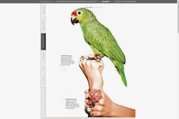 Art Direction for Swarovski Crystal Web Magazine - thumbnail 8