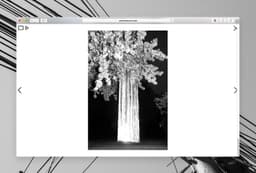 Website Design for Photographer Werner Amann - thumbnail 7