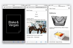 Visual Identity for Blake & Vargas Contemporary Art Space - thumbnail 4